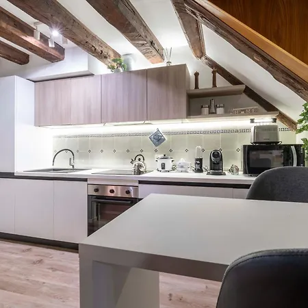 公寓 House Canal 1 威尼斯